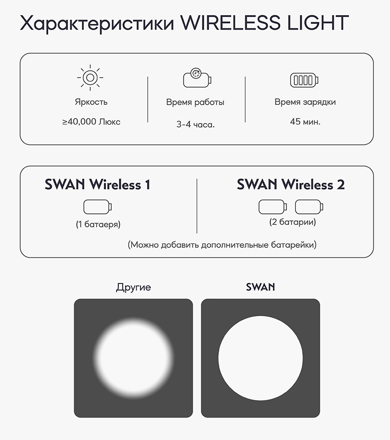 SWAN 24-2.jpg